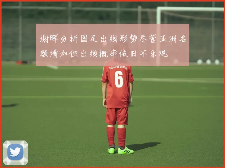 谢晖分析国足出线形势尽管亚洲名额增加但出线概率依旧不乐观