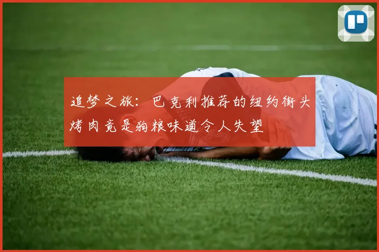 追梦之旅:巴克利推荐的纽约街头烤肉竟是狗粮味道令人失望
