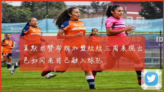 莱默尔赞布朗加盟短短三周表现出色如同老将已融入球队