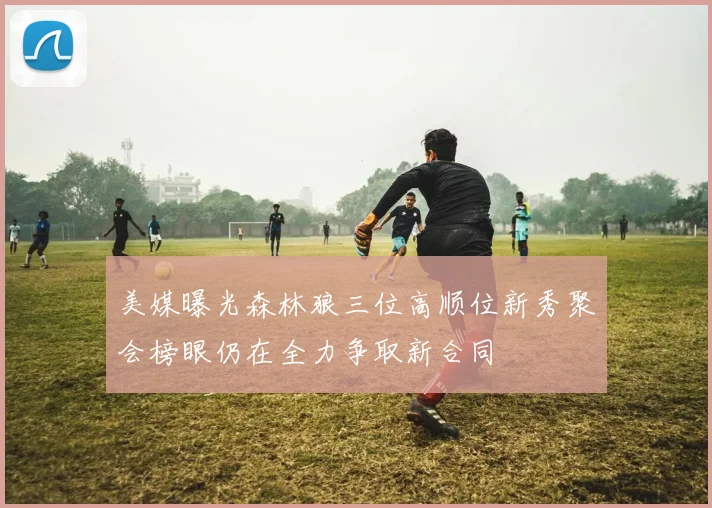 美媒曝光森林狼三位高顺位新秀聚会榜眼仍在全力争取新合同